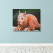 Eichhörnchen mit Nut Wrapped Canvas Print Leinwanddruck (Insitu (Holzboden))