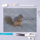 Eichhörnchen mit Pop Seidenpapier (Handwerk)