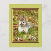 Eichhörnchen mit Rose Postkarte (Vorderseite)