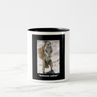 Eichhörnchen mit seinen Nüssen