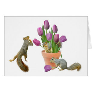 Eichhörnchen mit Tulpe-Karte
