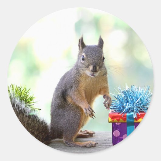 Eichhörnchen mit verschnürten Geschenken Runder Aufkleber (Vorderseite)