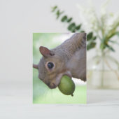 Eichhörnchen mit vollem Mund Postkarte (Stehend Vorderseite)