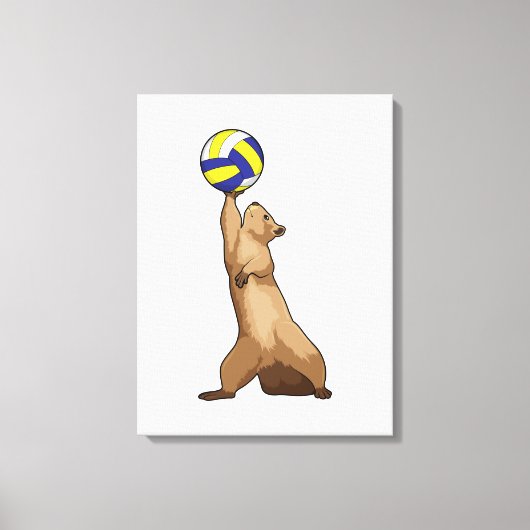 Eichhörnchen mit Volleyball Leinwanddruck (Vorderseite)