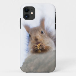 Eichhörnchen mit Walnuss Case-Mate iPhone Hülle