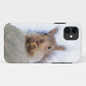 Eichhörnchen mit Walnuss Case-Mate iPhone Hülle (Rückseite (Horizontal))