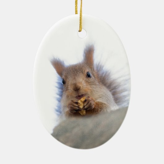 Eichhörnchen mit Walnuss Keramikornament (Hinten)