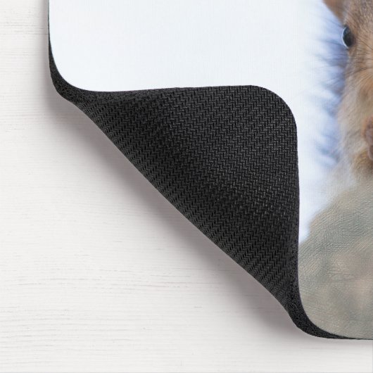 Eichhörnchen mit Walnuss Mousepad (Ecke)
