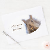 Eichhörnchen mit Walnuss Ovaler Aufkleber (Umschlag)