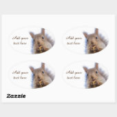 Eichhörnchen mit Walnuss Ovaler Aufkleber (Blatt)