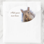 Eichhörnchen mit Walnuss Ovaler Aufkleber (Tasche)