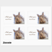 Eichhörnchen mit Walnuss Rechteckiger Aufkleber (Blatt)