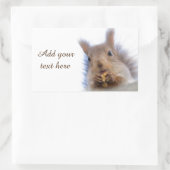 Eichhörnchen mit Walnuss Rechteckiger Aufkleber (Tasche)