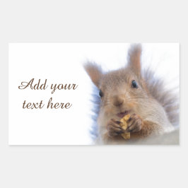Eichhörnchen mit Walnuss Rechteckiger Aufkleber