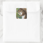 Eichhörnchen mit Wasserfarbe Lesen eines Buches Quadratischer Aufkleber (Tasche)