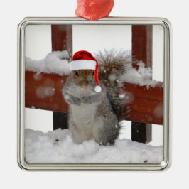 Eichhörnchen mit Weihnachtsmannmütze Holiday Ornam Ornament Aus Metall