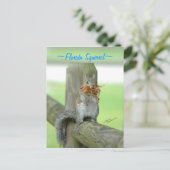 Eichhörnchen mit Zweigen Postkarte (Stehend Vorderseite)