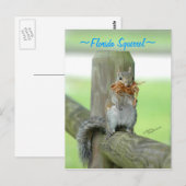 Eichhörnchen mit Zweigen Postkarte (Vorne/Hinten)