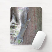 Eichhörnchen-Modepad Mousepad (Mit Mouse)