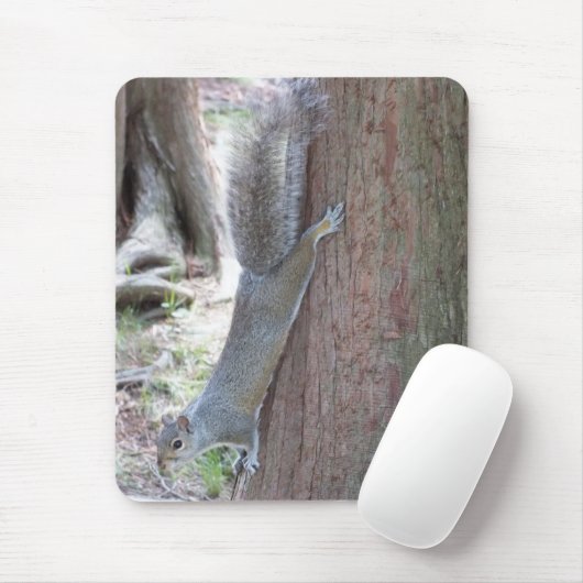 Eichhörnchen-Modepad Mousepad (Mit Mouse)