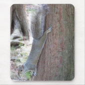 Eichhörnchen-Modepad Mousepad (Vorne)