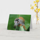 Eichhörnchen Monkey Costa Rica Karte (Gelbe Blume)