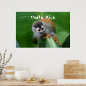 Eichhörnchen Monkey Costa Rica Poster (Küche)