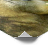 Eichhörnchen-Monkey-Poster Poster (Ecke)