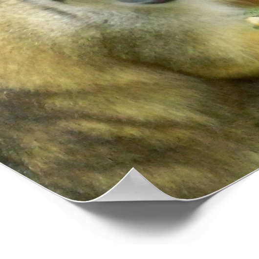 Eichhörnchen-Monkey-Poster Poster (Ecke)