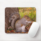 Eichhörnchen Mosue Auflage Mousepad (Mit Mouse)