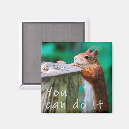 Eichhörnchen MotivationŌ Magnet (Vorderseite/Rückseite)