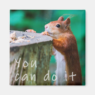 Eichhörnchen Motivationsspruch Magnet