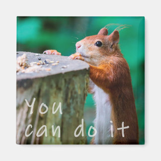 Eichhörnchen Motivationsspruch Magnet