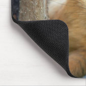 Eichhörnchen Mousepad (Ecke)