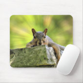 Eichhörnchen Mousepad (Mit Mouse)