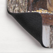 Eichhörnchen Mousepad (Ecke)