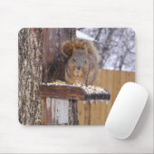 Eichhörnchen Mousepad (Mit Mouse)