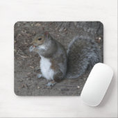 Eichhörnchen Mousepad (Mit Mouse)