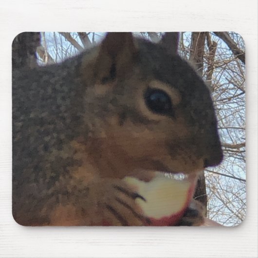 Eichhörnchen Mousepad (Vorne)