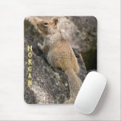 Eichhörnchen Mousepad (Mit Mouse)