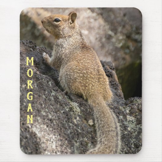 Eichhörnchen Mousepad (Vorne)