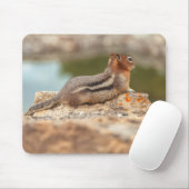 Eichhörnchen Mousepad (Mit Mouse)