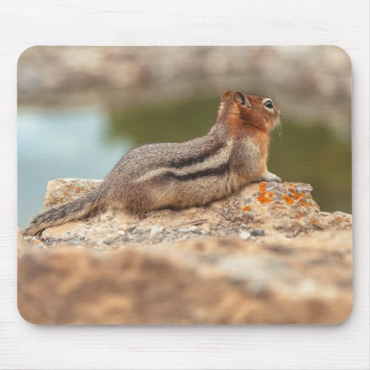 Eichhörnchen Mousepad (Vorne)
