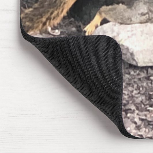 Eichhörnchen Mousepad (Ecke)