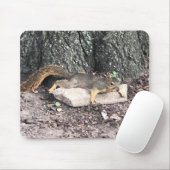 Eichhörnchen Mousepad (Mit Mouse)