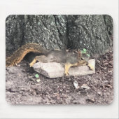 Eichhörnchen Mousepad (Vorne)
