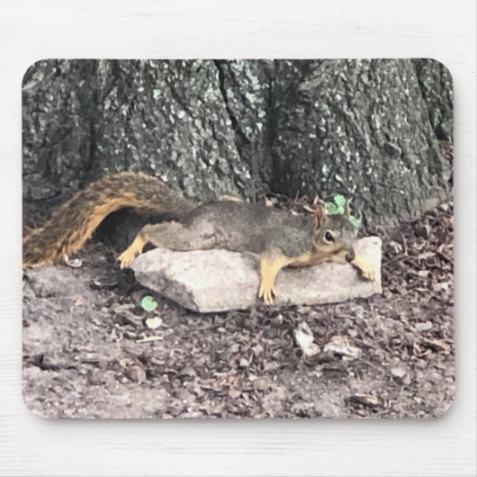 Eichhörnchen Mousepad (Vorne)