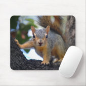 Eichhörnchen Mousepad (Mit Mouse)