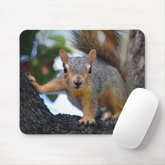 Eichhörnchen Mousepad (Mit Mouse)