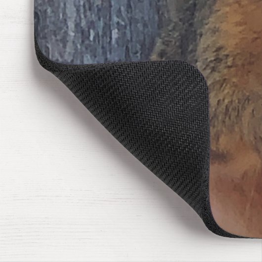 Eichhörnchen Mousepad (Ecke)